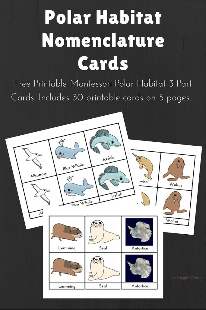 Montessori nomenclature cards free