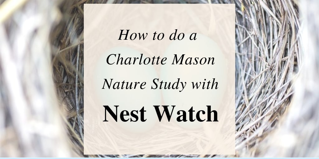 Nature Study with Nest Watch