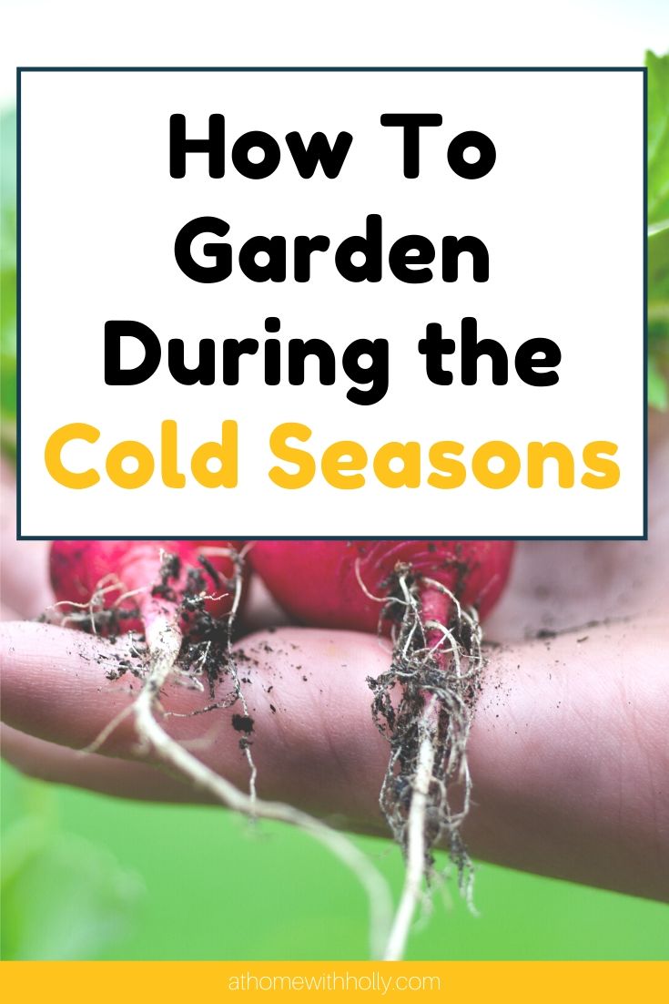 
Cold season gardening